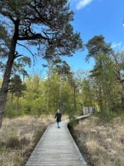 Umfassungsweg Twickel vlonderpad Irene