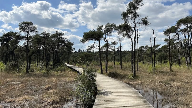 Umfassungsweg Twickel vlonderpad