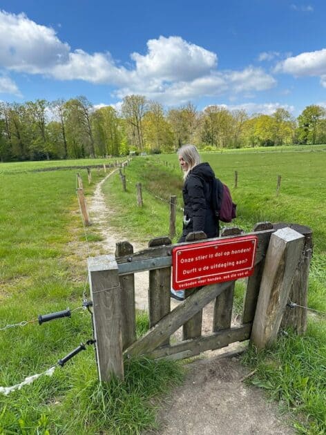 Umfassungsweg Twickel weiden 4