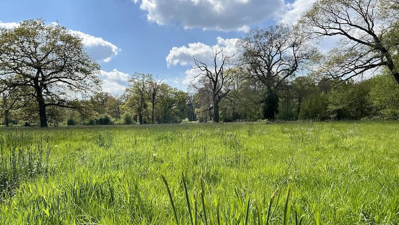 Umfassungsweg Twickel weiden