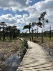 Vlonderpad Umfassungsweg Twickel