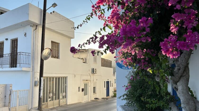 Agia Galini Kreta bougainvillea