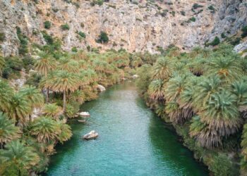 Dagtrips vanuit Agia Galini - palmenbos Preveli, Kreta, banner