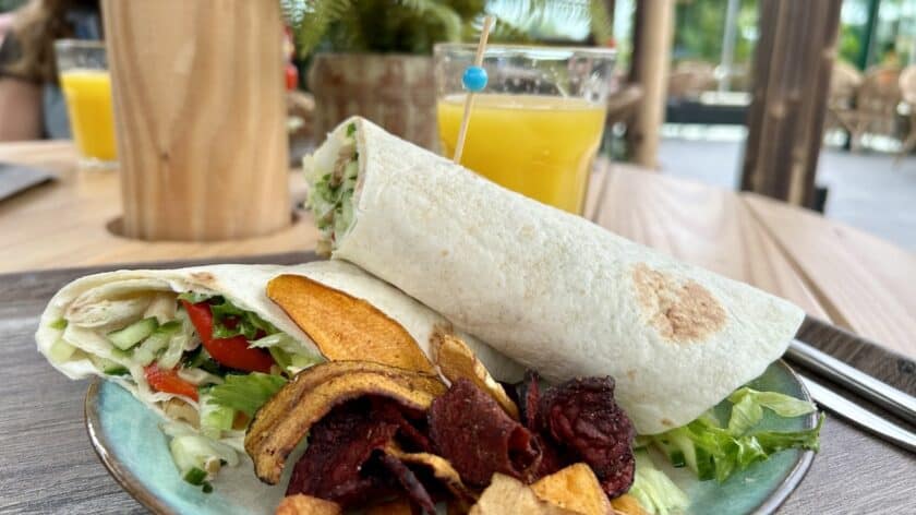 Pantropica in Flevoland lunch met wraps en groentechips