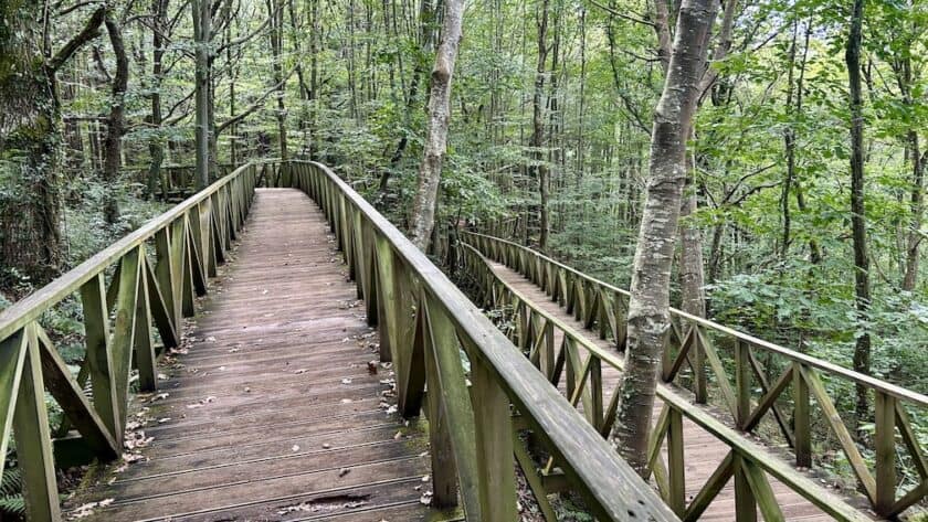 Monumento Natural de las Secuoyas del Monte Cabezón Spanje 6