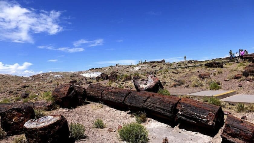 Escalante Petrified Forest State Park, Utah, Verenigde Staten - pixabay