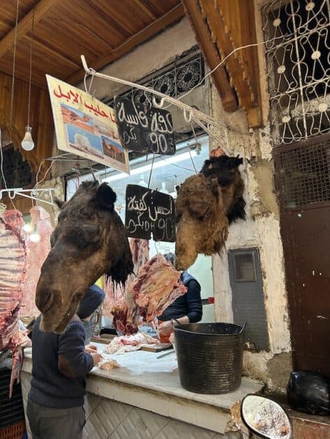 Fez medina slagerij dromedaris