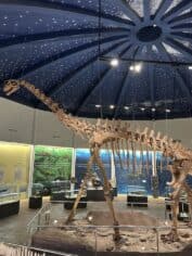 Geoparc M'goun Azilal Marokko