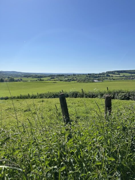 Wandelen Epen uitzicht glooiende heuvels