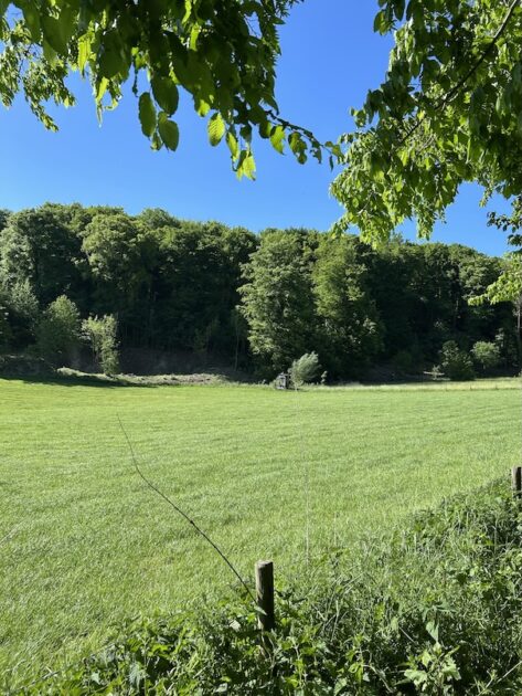 Wandelen Epen uitzicht op Bovenste Bos