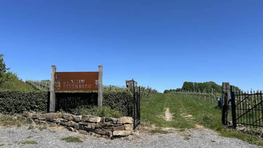 Wandelen Epen wijngaard Domein Steenberg bord