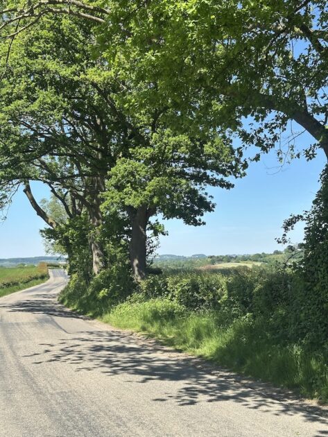 Wandelen in het Geuldal weg richting Epen