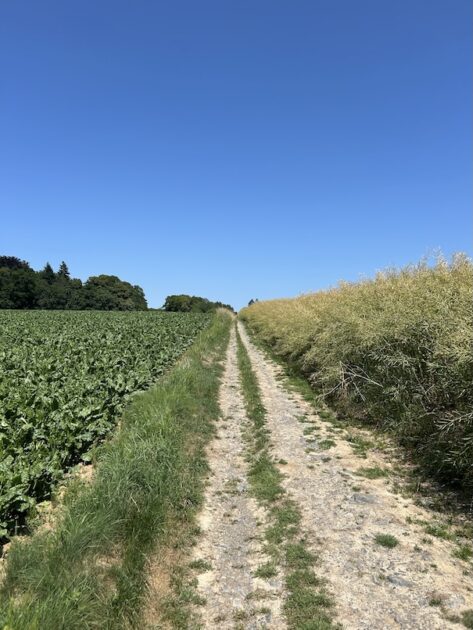 Château de Vêves wandelroute dwars door de weilanden