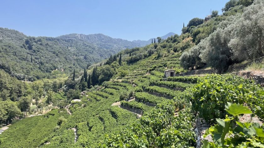 Mooiste plekken op Samos - Wandelroute Nachtegaalvallei en Manolates glooiende hellingen met wijngaarden