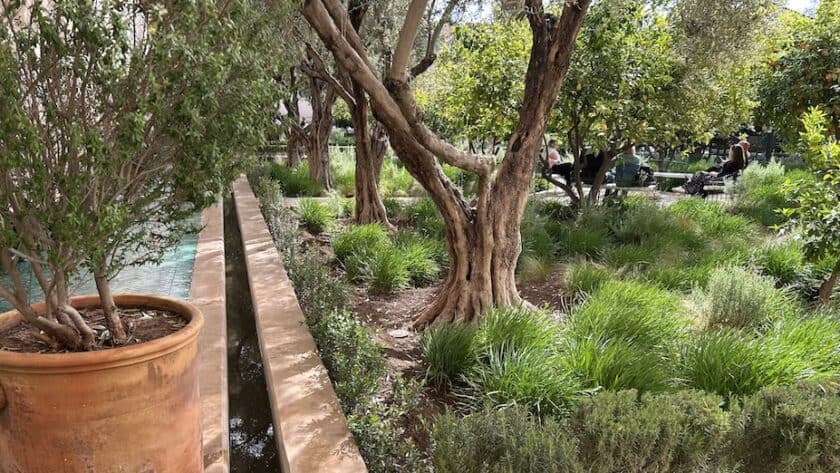 Le Jardin Secret in Marrakech bomen