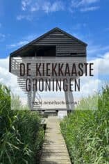 Vogelkijkhut de Kiekkaaste