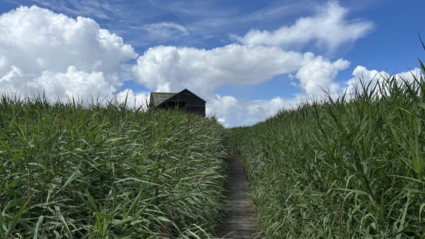 De Kiekkaaste, Nieuwe Statenzijl, Groningen, vlonderpad naar de vogelkijkhut