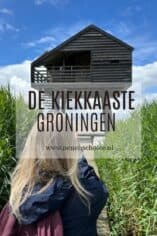 Vogelkijkhut de Kiekkaaste in Groningen