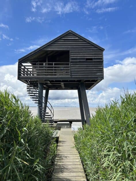 Vogelkijkhut de Kiekkaaste in Nieuwe Statenzijl Groningen
