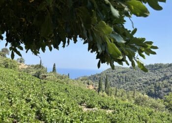Wandelroute Vallei van de Nachtegalen en Manolates uitzicht op zee