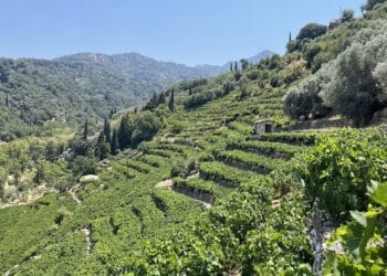 Nachtegaalvallei op Samos: wandelroute naar Manolates (7,4 km)