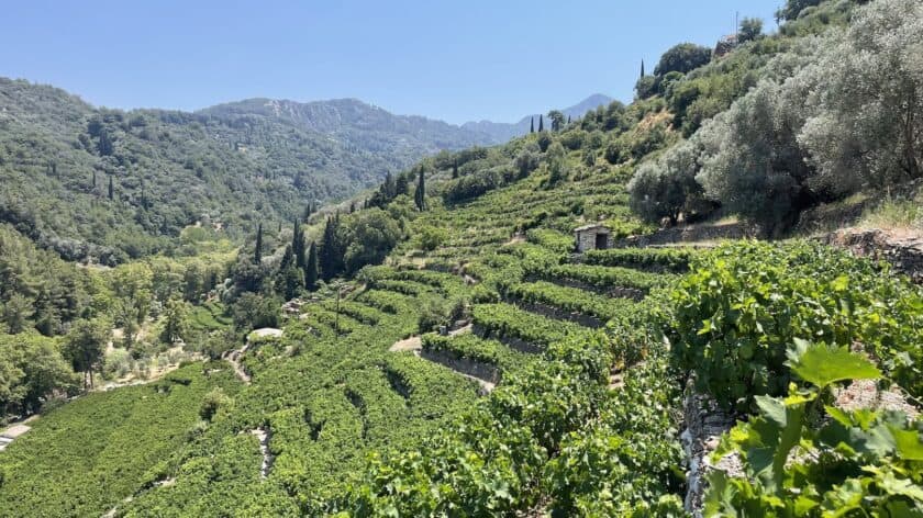 Mooiste wandelroutes op Samos: wandelen door de Nachtegaalvallei 