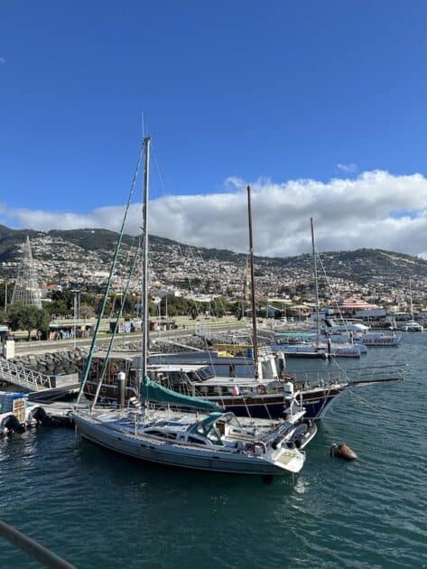 Funchal haven uitzicht stad