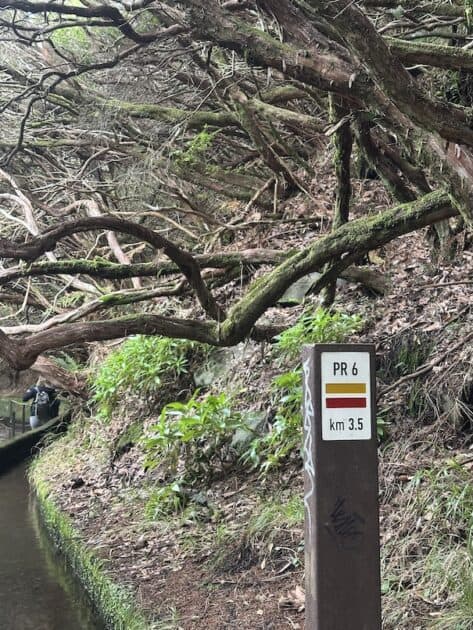 PR6 + PR6.1 Levada 25 Fontes bordje