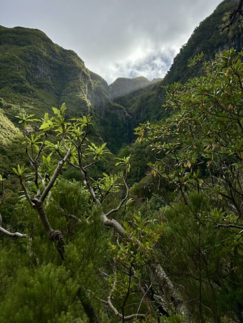 PR6 + PR6.1 Levada 25 Fontes uitzicht onderweg
