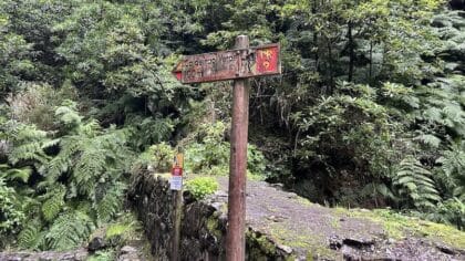 PR9 Levada do Caldeirão Verde bordje