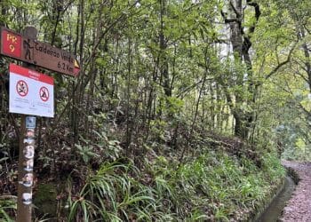 PR9 Levada do Caldeirão Verde hike bordje banner