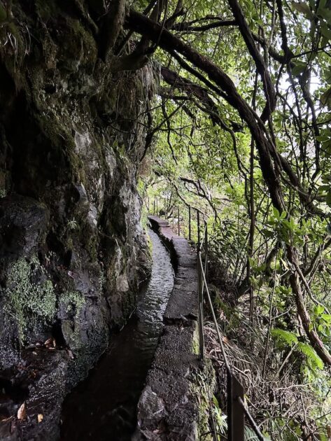 PR9 Levada do Caldeirão Verde levada