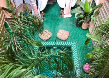 The Bohemian Jungle top view