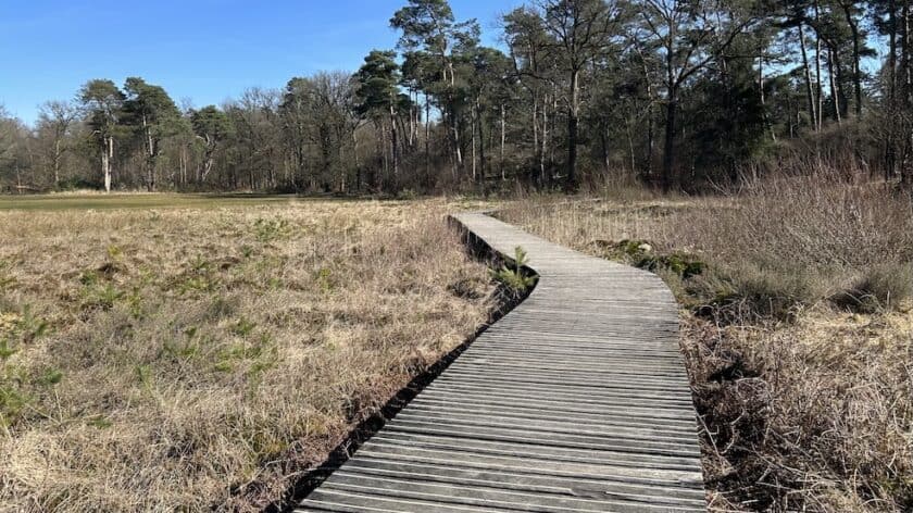 Het Nationale Park de Hoge Veluwe vlonderpad bij Jachthuis Sint Hubertus