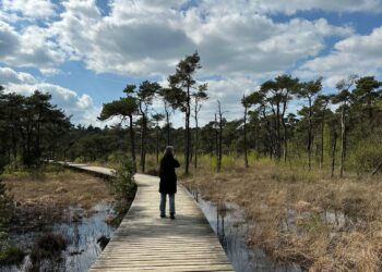 Mooiste vlonderpaden in Nederland Umfassungsweg Twickel Irene