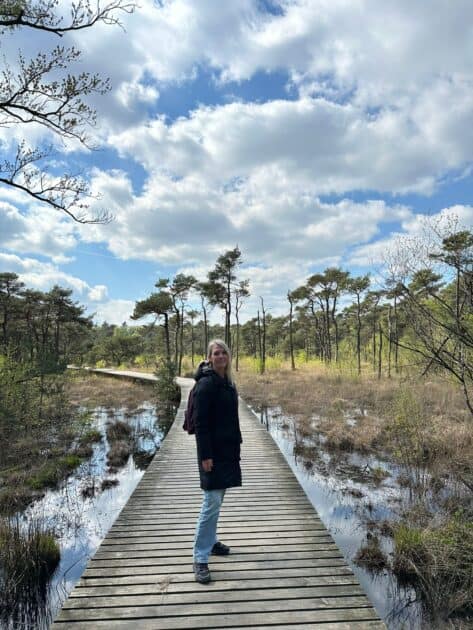 Vlonderpaden in Nederland - Umfassungsweg Twickel Irene