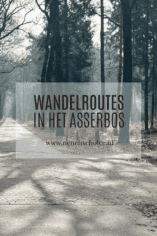 Wandelroutes Asserbos Assen