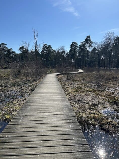 Wandelroutes Hoge Veluwe vlonderpad wandeling Jachthuis St Hubertus