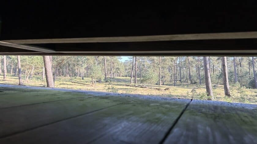 Wandelen op de Hoge Veluwe wildobservatiehut Koeverbos (Millelamel)