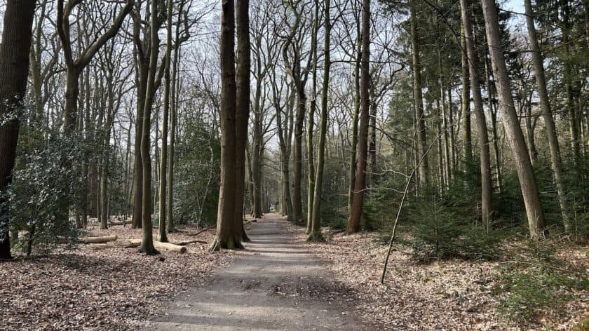 Wandelroutes in het Asserbos pad