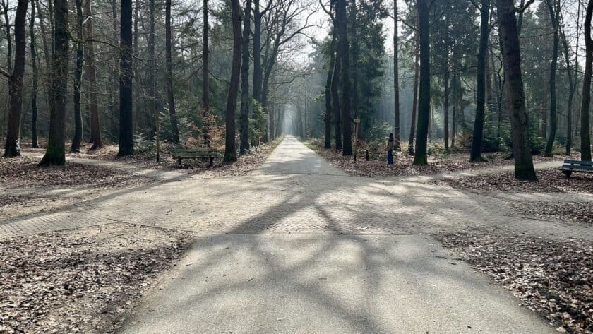Wandelroutes in het Asserbos sterrenbos