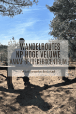 Wandelroutes op Hoge Veluwe