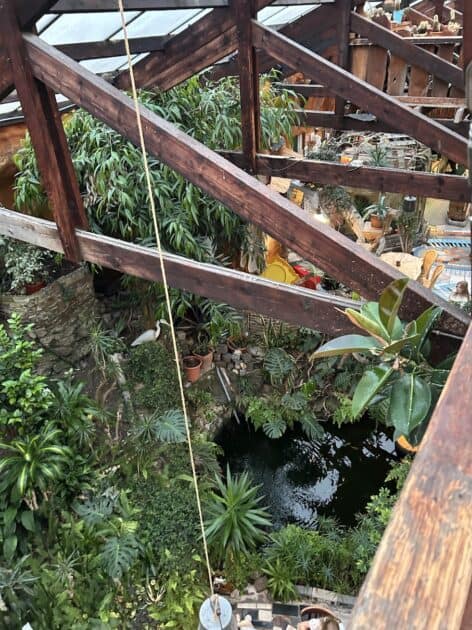 Het Paradijs in Enschede groene planten en vijver