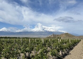 Armenië, Khor Virap, Ararat op achtergrond
