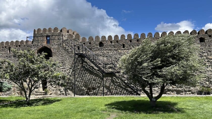 Georgië, Mtscheta , Svetishoveli kathedraal, olijfboom in de harde wind