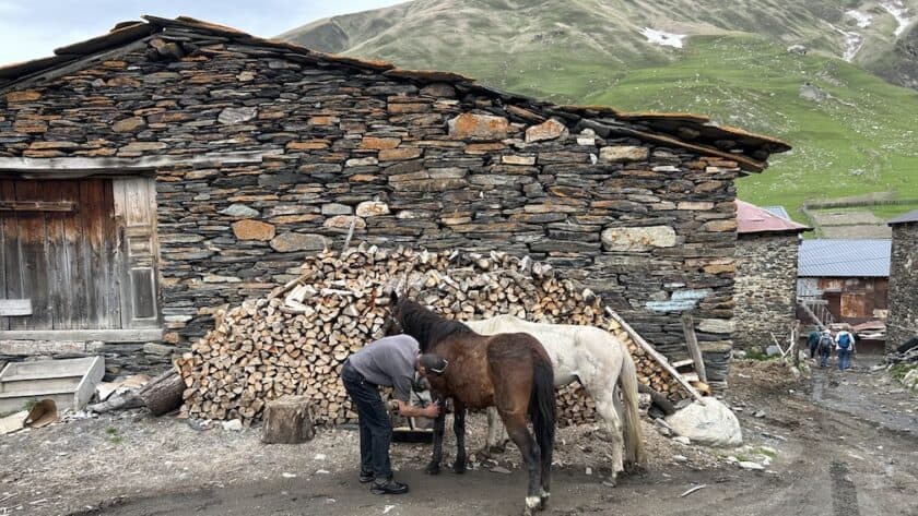 Georgië, Svaneti, Ushguli hoogste dorpje paarden