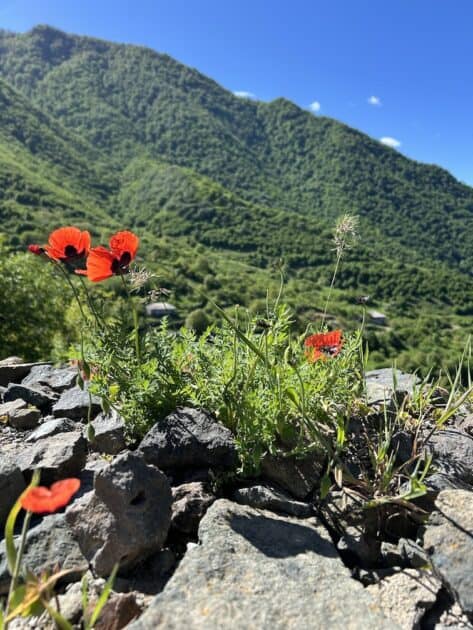 Armenië, Haghpat, Klooster van Haghpat, uitzicht