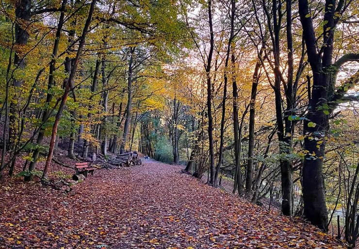 Bad-Endbach-Seminarhaus-2