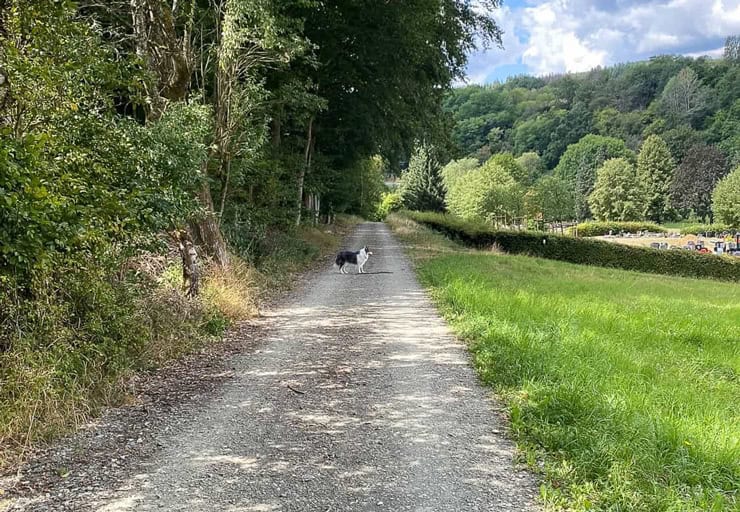 Bad-Endbach-Seminarhaus