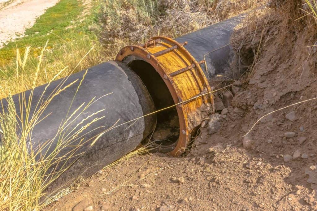 Tree Root Invasion